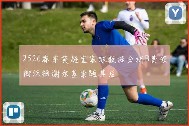 2526赛季英超直塞球数据分析B费领衔沃顿谢尔基紧随其后
