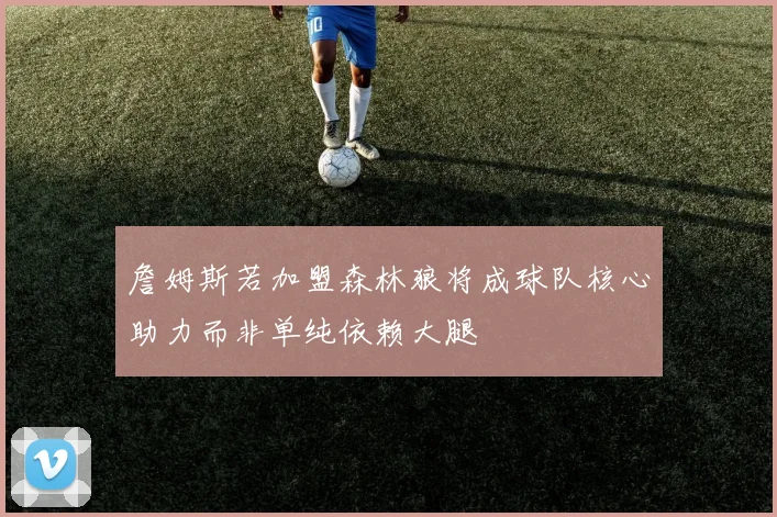 詹姆斯若加盟森林狼将成球队核心助力而非单纯依赖大腿